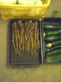 �s�����m�E���A�h�@�n��(�������j������(�j�V�L�^���I�j