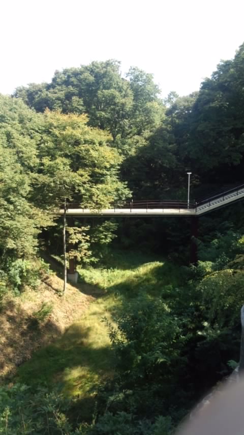 �s�����m�E���A�h�@�n��(�������j������(�j�V�L�^���I�j