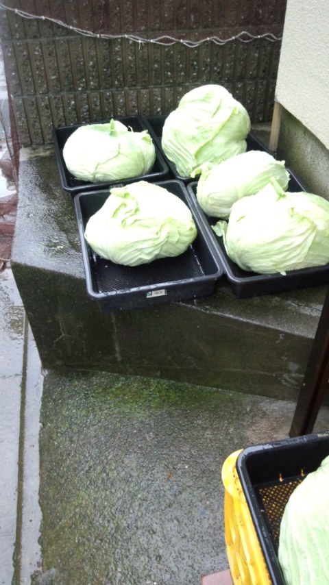 �s�����m�E���A�h�@�n��(�������j������(�j�V�L�^���I�j