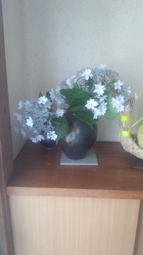 �s�����m�E���A�h�@�n��(�������j������(�j�V�L�^���I�j