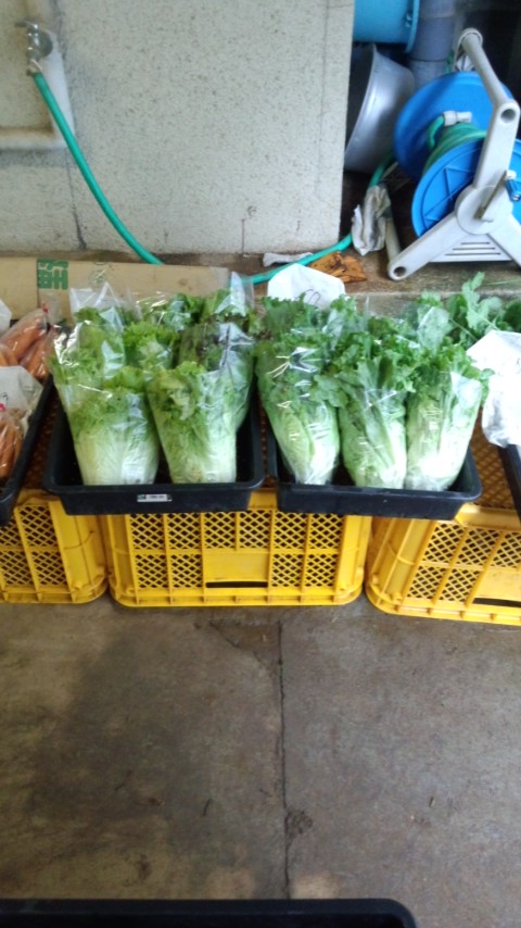 �s�����m�E���A�h�@�n��(�������j������(�j�V�L�^���I�j