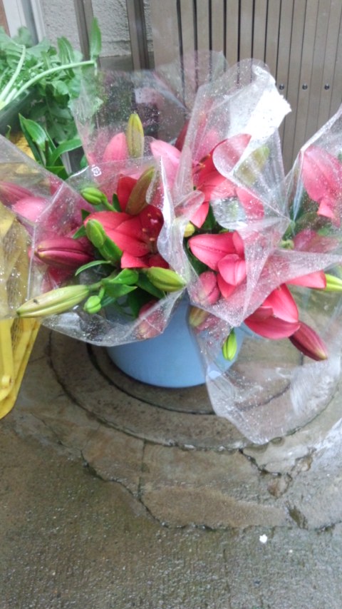 �s�����m�E���A�h�@�n��(�������j������(�j�V�L�^���I�j
