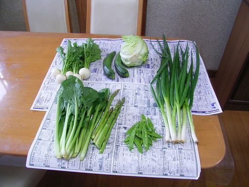 �s�����m�E���A�h�@�n��(�������j������(�j�V�L�^���I�j