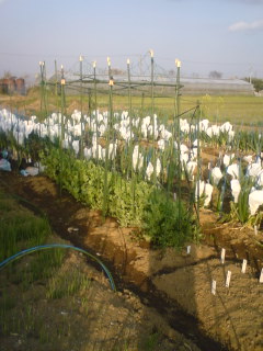 �s�����m�E���A�h�@�n��(�������j������(�j�V�L�^���I�j