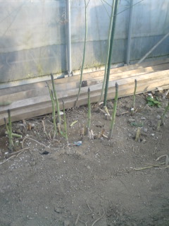 �s�����m�E���A�h�@�n��(�������j������(�j�V�L�^���I�j