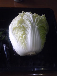 �s�����m�E���A�h�@�n��(�������j������(�j�V�L�^���I�j