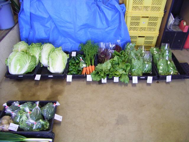 �s�����m�E���A�h�@�n��(�������j������(�j�V�L�^���I�j