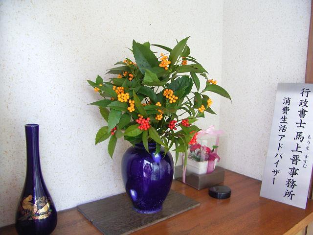 �s�����m�E���A�h�@�n��(�������j������(�j�V�L�^���I�j