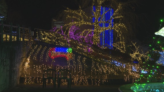 MY@12/11i؁j`@JniMYj