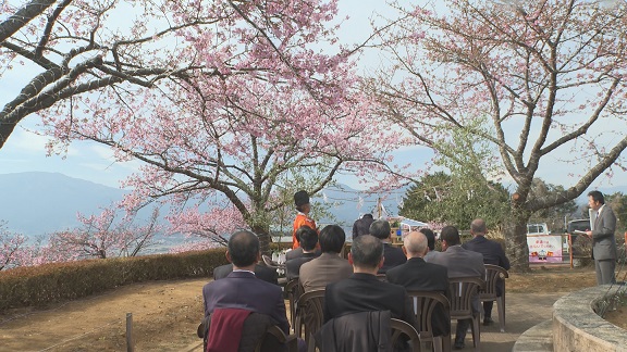 MY��������