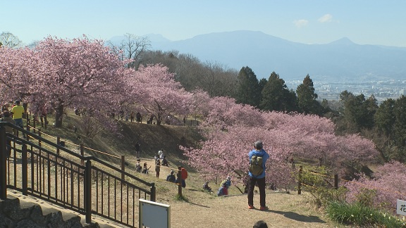 MY��������@2/26�i�؁j�`�@�����J�n�iMY��������j