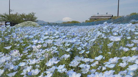 MY��������