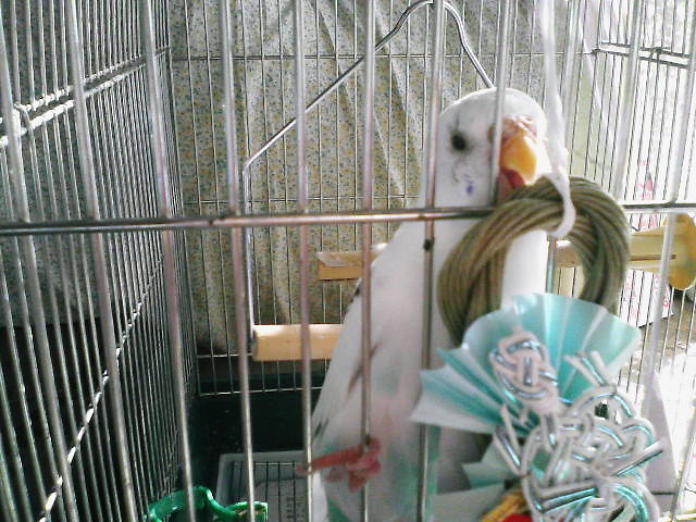 ��Âꂮ�����I�I