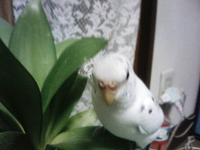 ��Âꂮ�����I�I