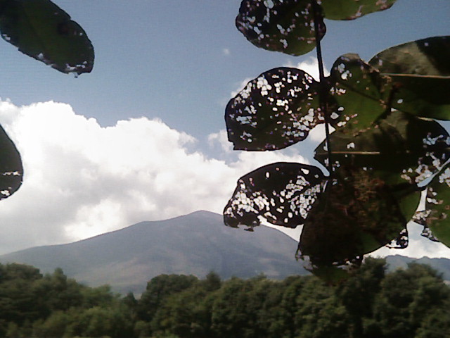 ��Âꂮ�����I�I