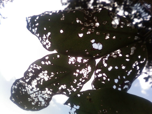 ��Âꂮ�����I�I