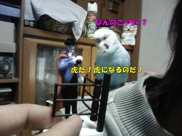 ��Âꂮ�����I�I