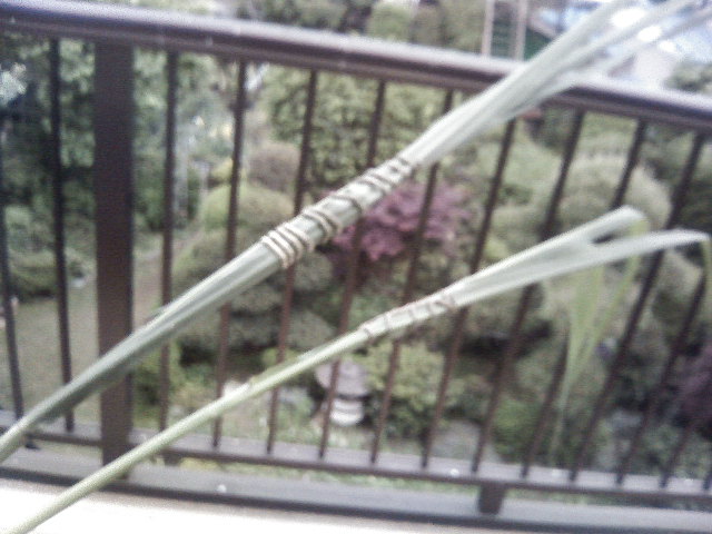 ��Âꂮ�����I�I