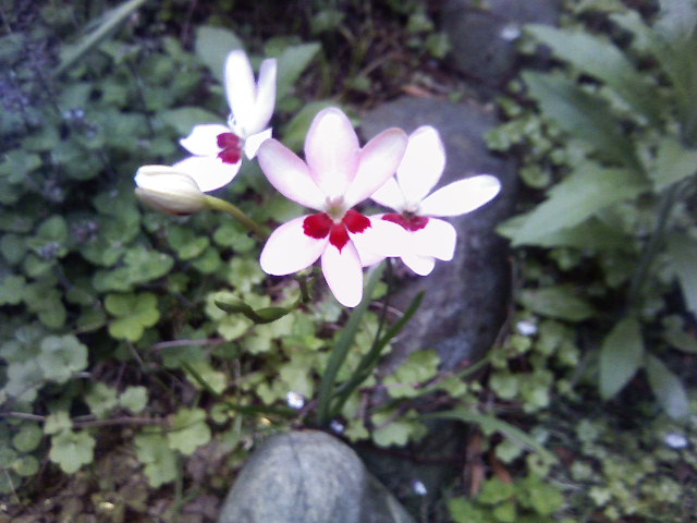 ��Âꂮ�����I�I