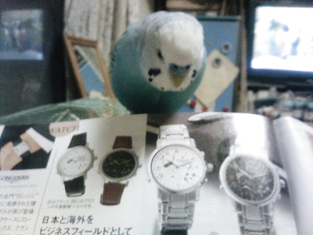 ��Âꂮ�����I�I