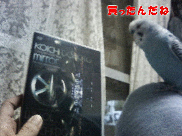 ��Âꂮ�����I�I