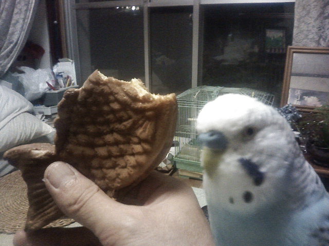 ��Âꂮ�����I�I