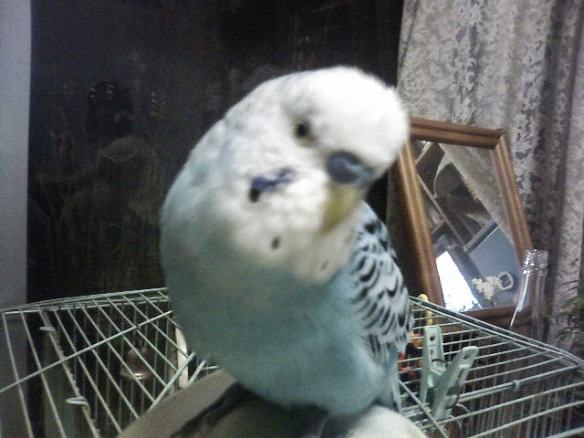 ��Âꂮ�����I�I