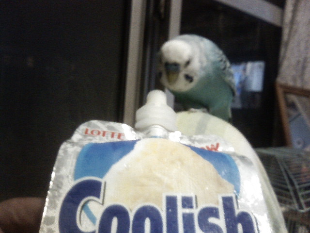 ��Âꂮ�����I�I