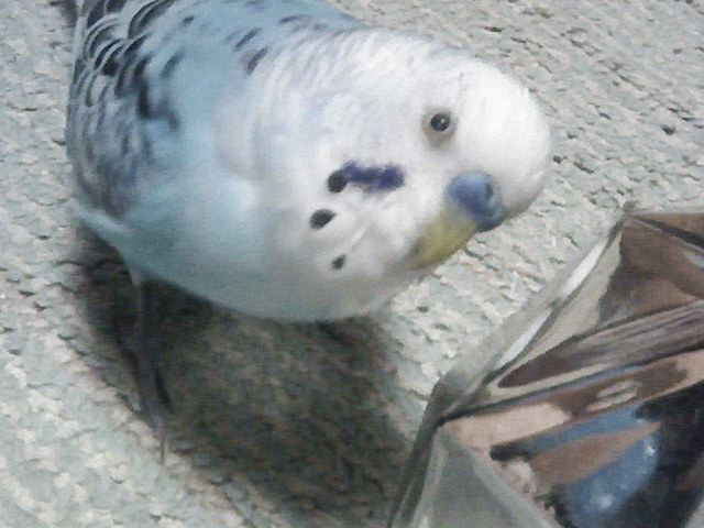 ��Âꂮ�����I�I