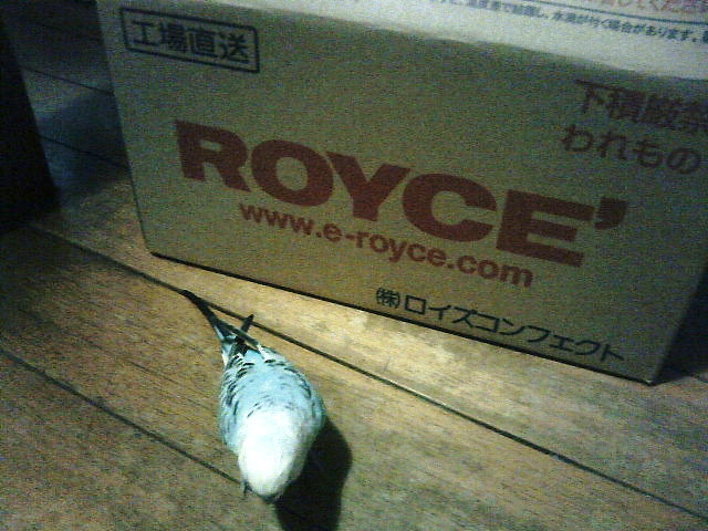 ��Âꂮ�����I�I