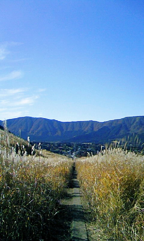 �E�W�����̕��ւ�