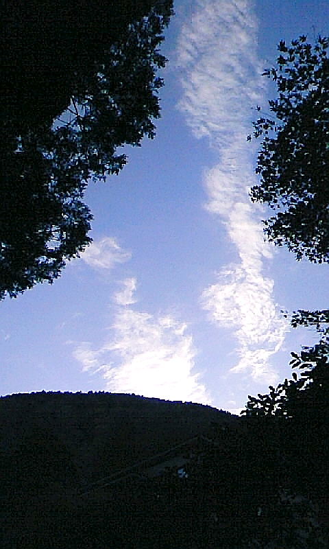 �E�W�����̕��ւ�