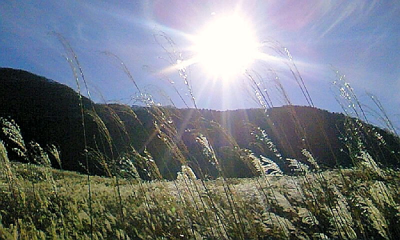 �E�W�����̕��ւ�