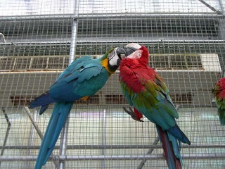 �������뗷�s�A�܂��ߗ��s�@�ʐ^��