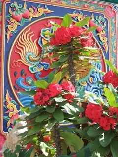 �������뗷�s�A�܂��ߗ��s�@�ʐ^��