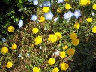 �������뗷�s�A�܂��ߗ��s�@�ʐ^��