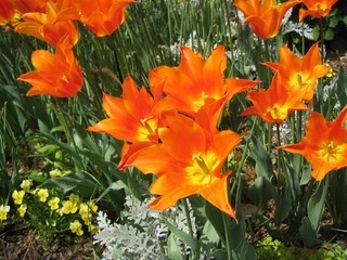 �������뗷�s�A�܂��ߗ��s�@�ʐ^��