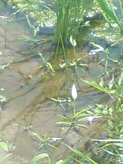 ���N����̓E�H�[�L���O���I