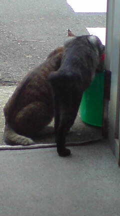 ���N����̓E�H�[�L���O���I