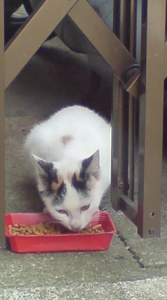 ���N����̓E�H�[�L���O���I