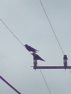 ���N����̓E�H�[�L���O���I