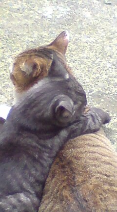 ���N����̓E�H�[�L���O���I