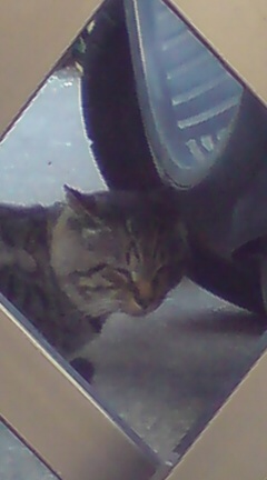 ���N����̓E�H�[�L���O���I