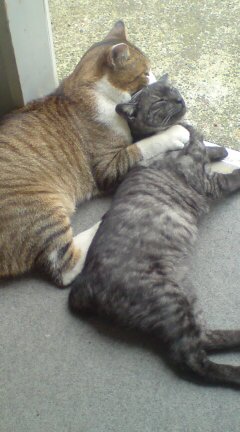 ���N����̓E�H�[�L���O���I