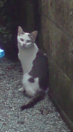 ���N����̓E�H�[�L���O���I