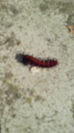 ���N����̓E�H�[�L���O���I