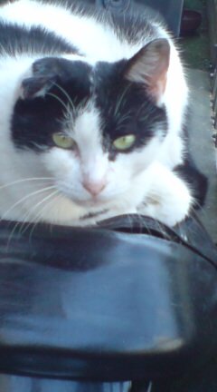 ���N����̓E�H�[�L���O���I