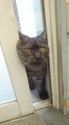 ���N����̓E�H�[�L���O���I