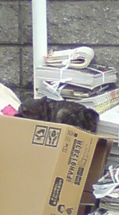 ���N����̓E�H�[�L���O���I