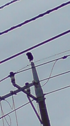 ���N����̓E�H�[�L���O���I